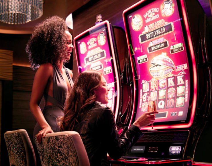 Fitur live-dealer dan taruhan olahraga dalam aplikasi jadwal303
